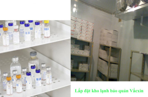 Kho lạnh bảo quản vacxin - Kho Lạnh Thế Gia - Công Ty CP Thương Mại Và Dịch Vụ Thế Gia